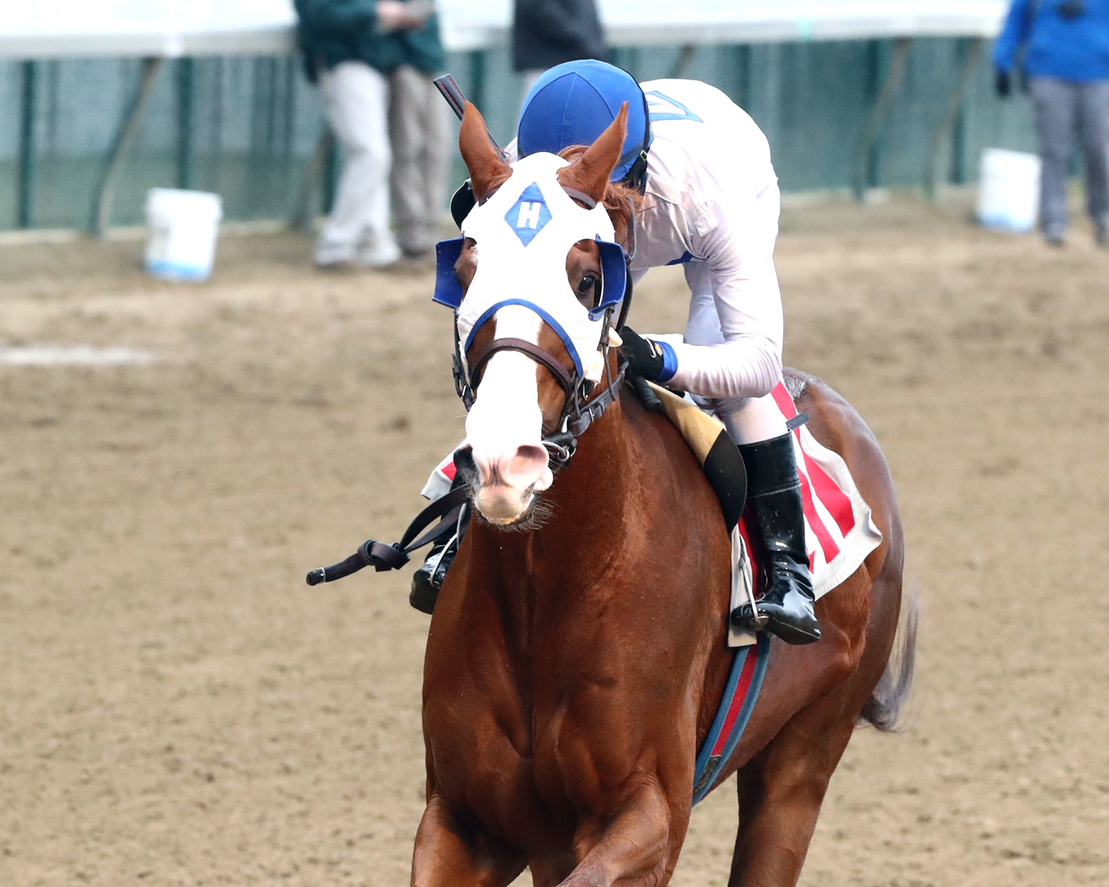 Oaklawn Park Racetrack Horse Racing News & Schedule Today Oaklawn Park Racetrack Horse Racing News & Schedule Today
