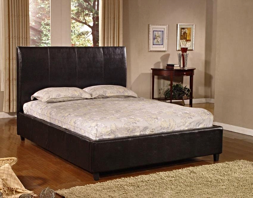 EVA collection ausmart online melbourne