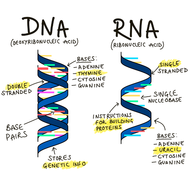 power_of_genomics_set1