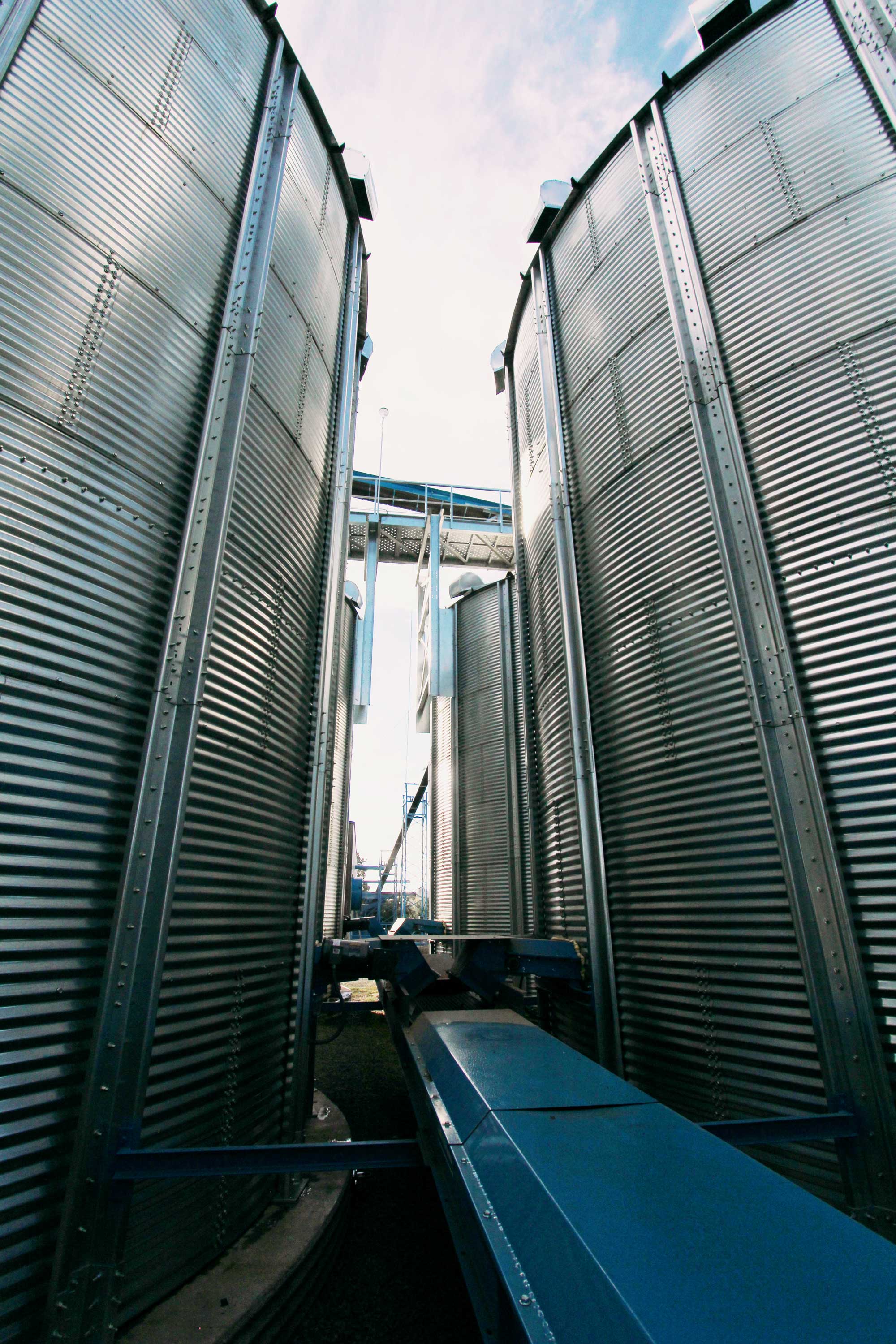 Hazelnut Dryers, Storage and Additional Processing Equipment West