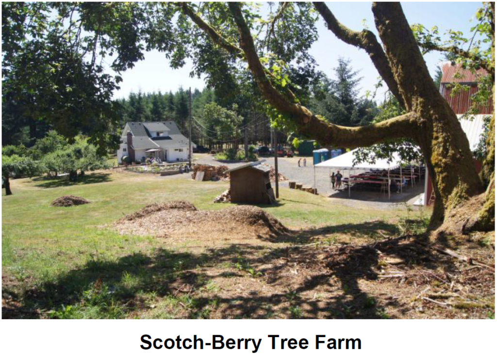 ScotchBerryTreeFarm
