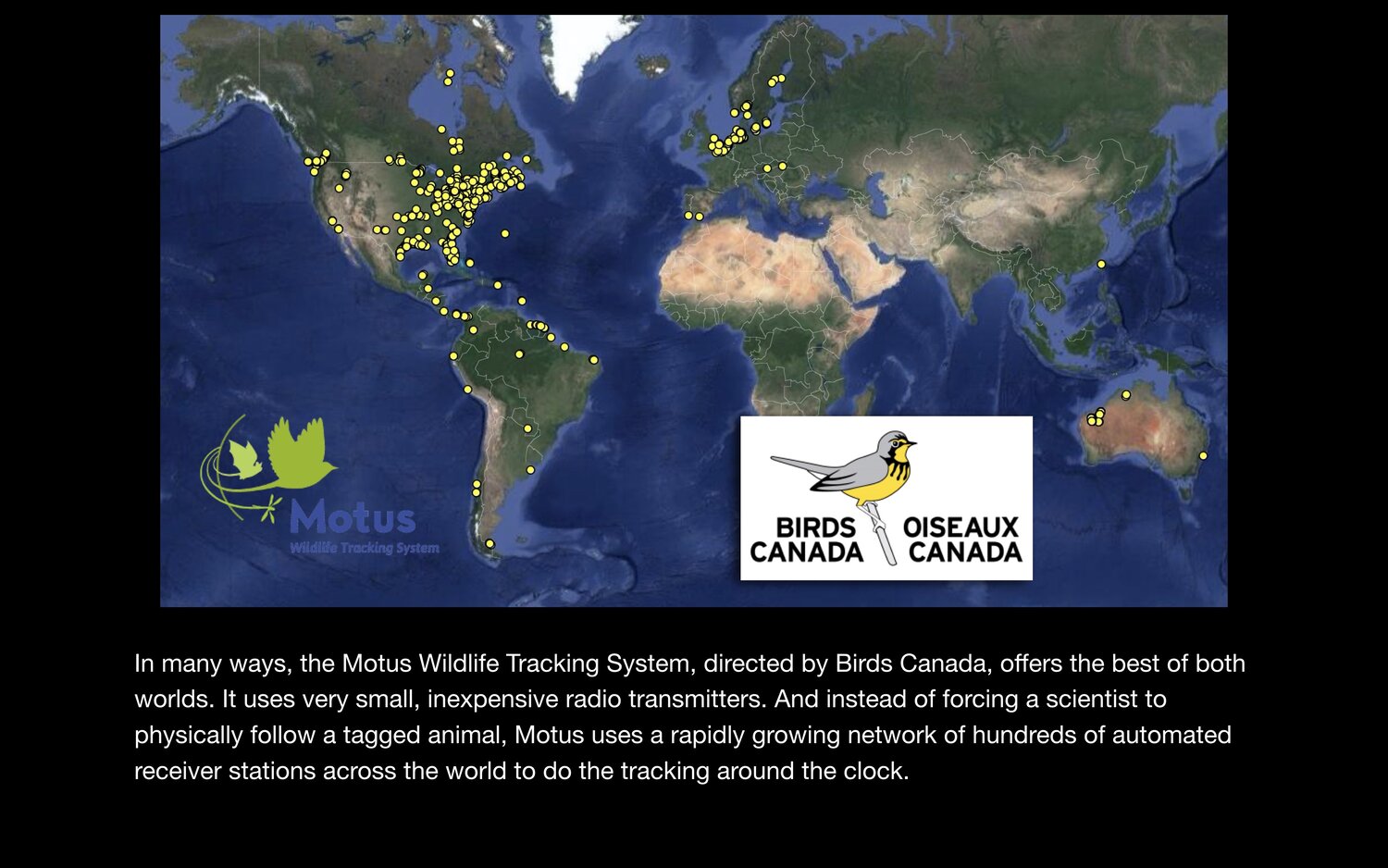 Motus Wildlife Tracking System A Tutorial