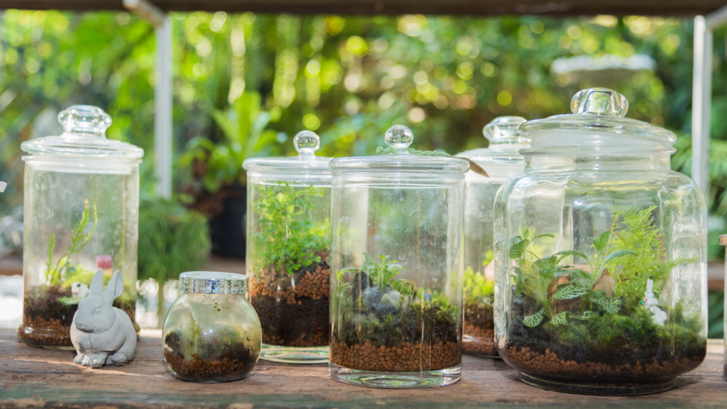 How to Make Your Own Native Terrarium