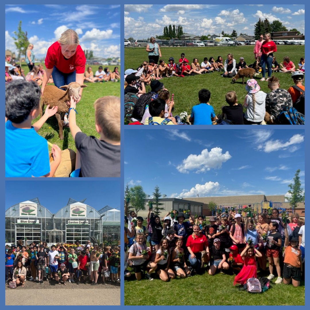 Vet student combines passion for animal care and agriculture WCVM