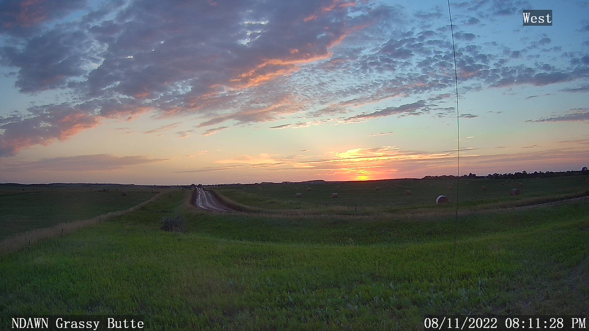 August 12, 2022 Newsletter WDEA