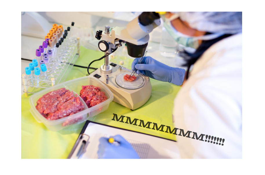 The Branding of Lab Grown Meat Works Design Group