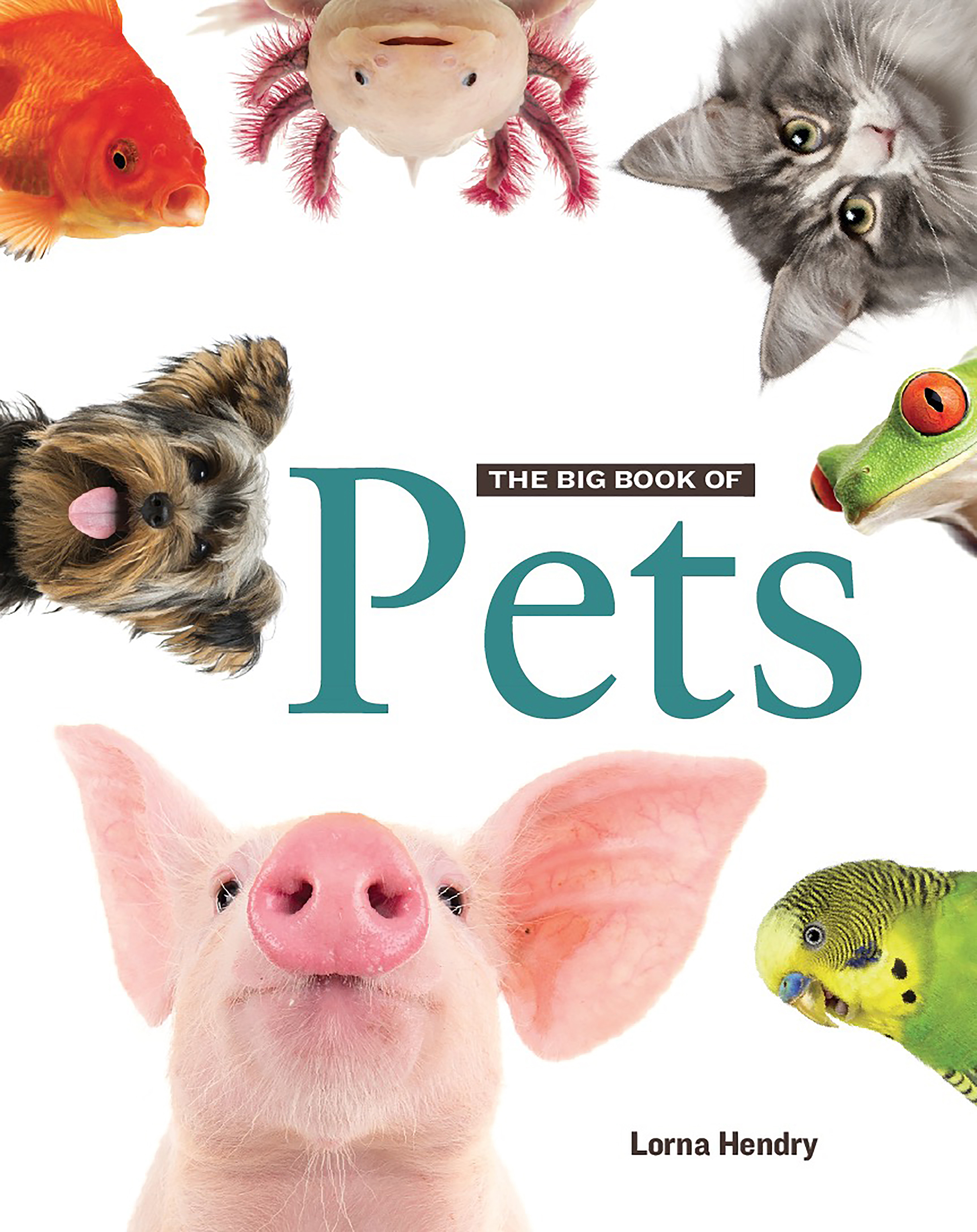 The Big Book of Pets Wild Dog Books