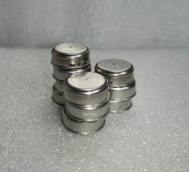 DS1922 Temperature Logger/iButton