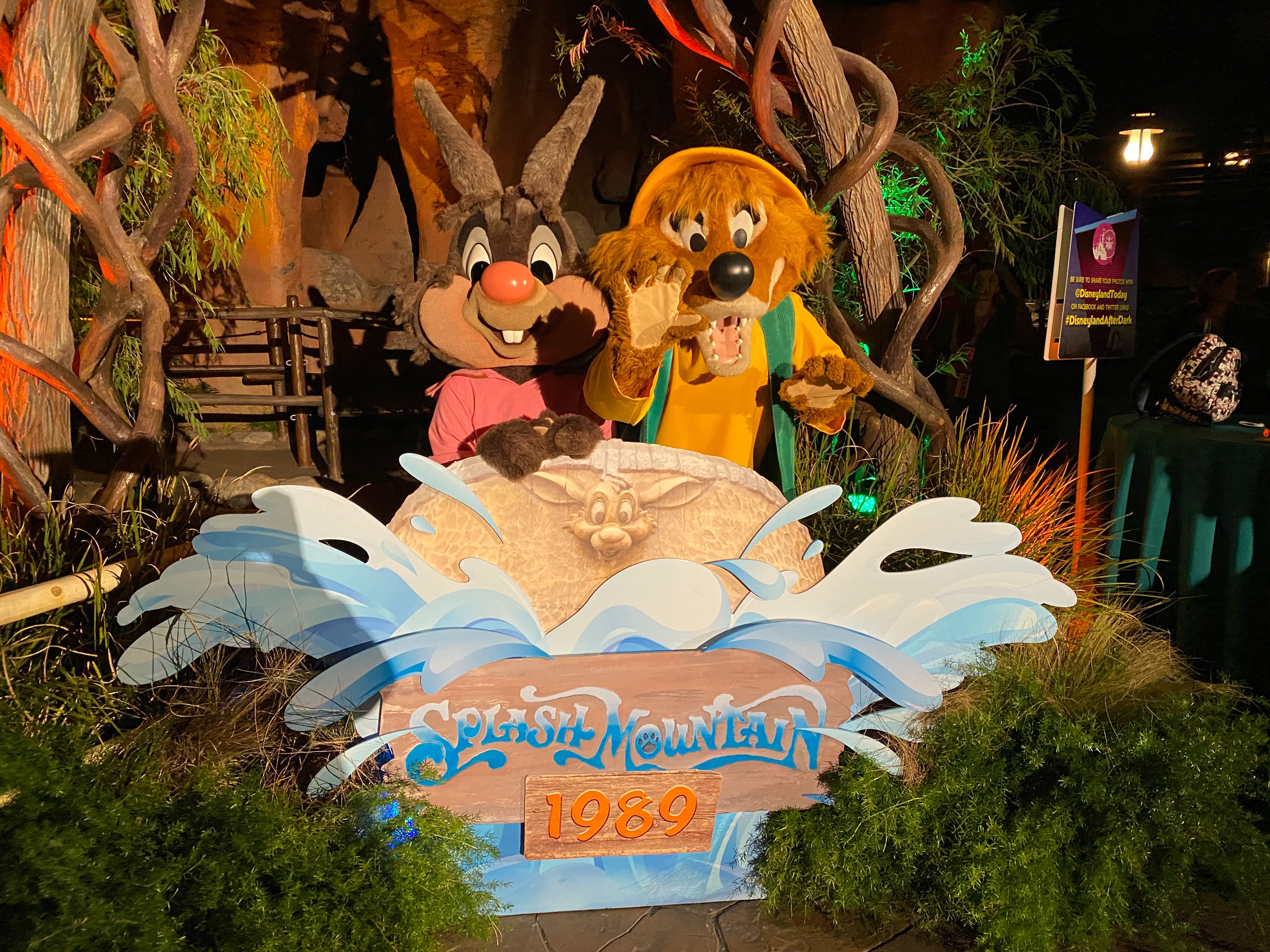 PHOTOS, VIDEO Roger Rabbit, Star Tours, DuckTales, and