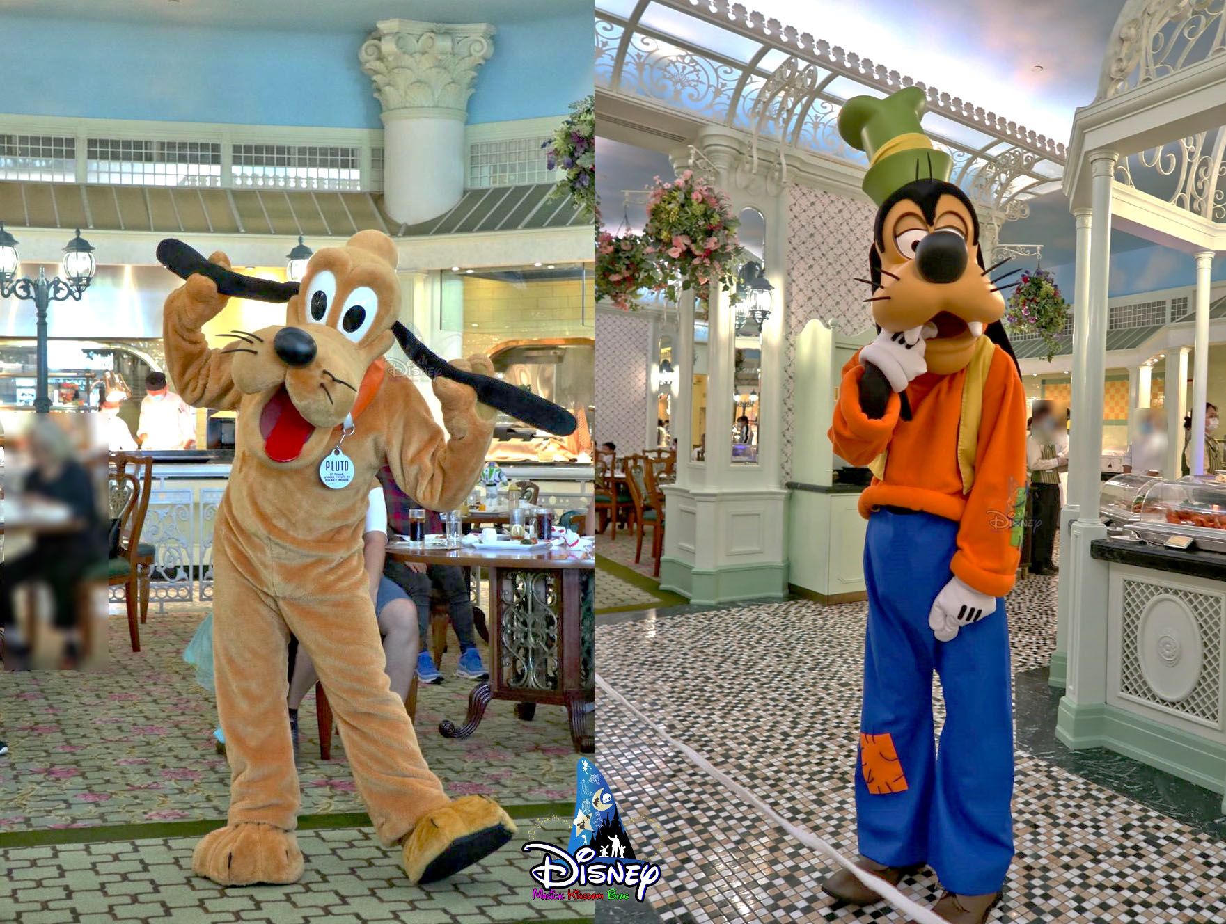 PHOTOS Character Dining Resumes at Hong Kong Disneyland Hotel Under