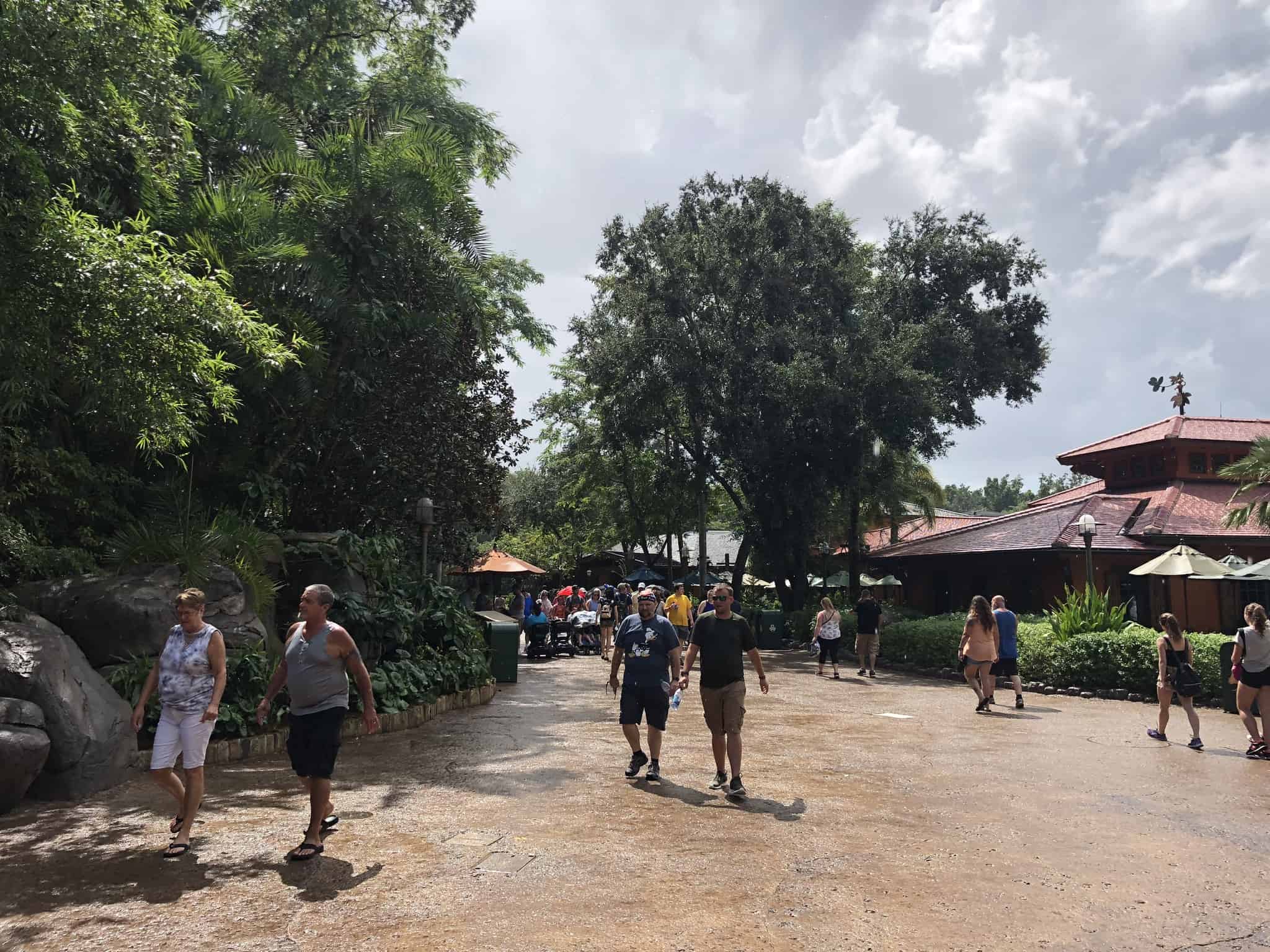PHOTO REPORT Disney's Animal Kingdom 9/27/18 (Hakuna Matata Dance