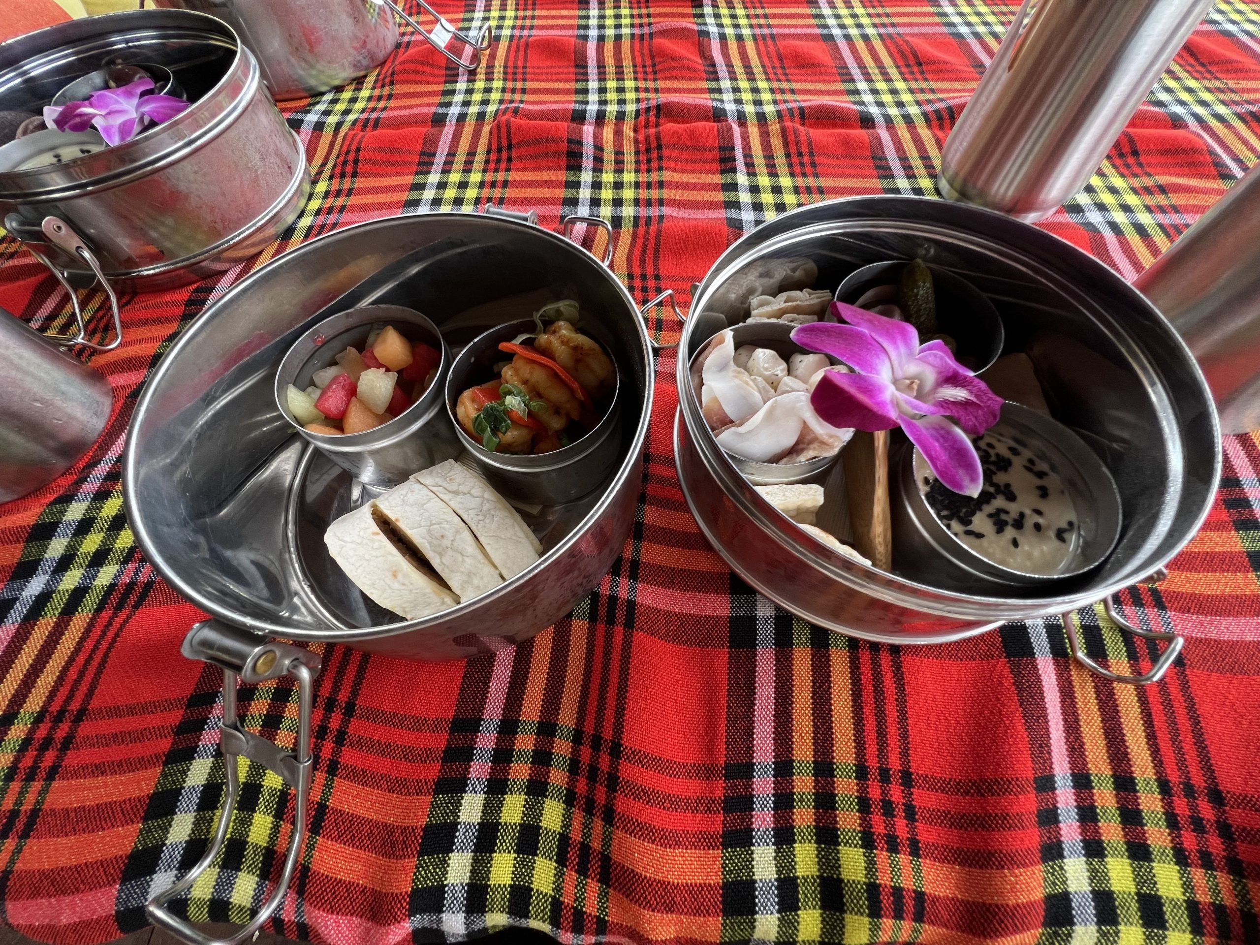 Wild Africa Trek review (cost, is it worth it?) WDW Prep School