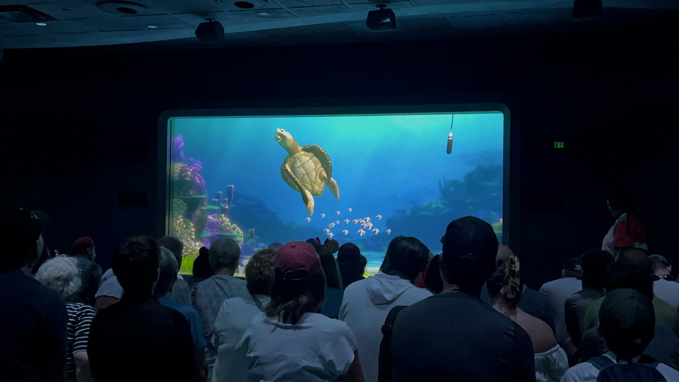 Complete Guide to Turtle Talk with Crush WDW Prep School