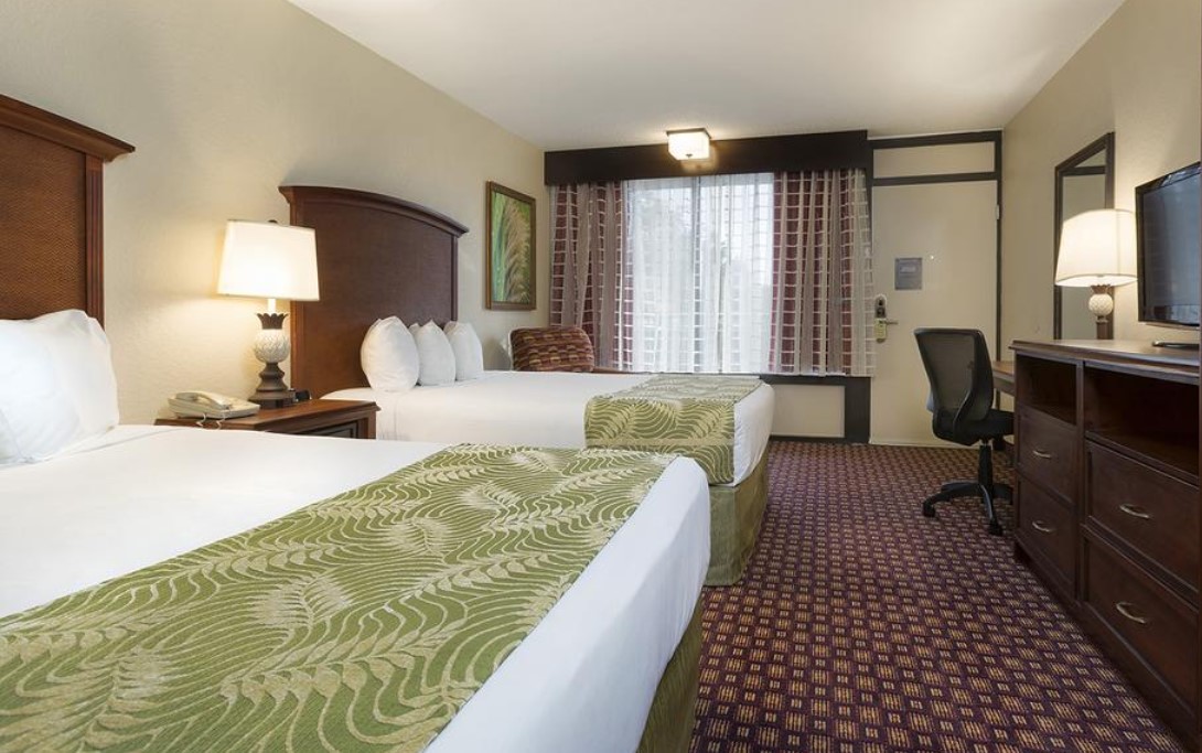 15 Hotels That Offer Shuttles To Disney World