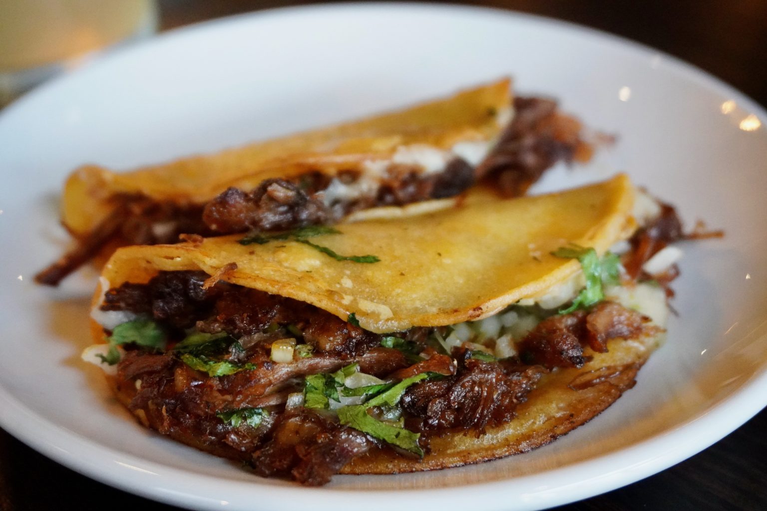 El Santo Sets New Scene for Mexican Dining in West Hartford Center We