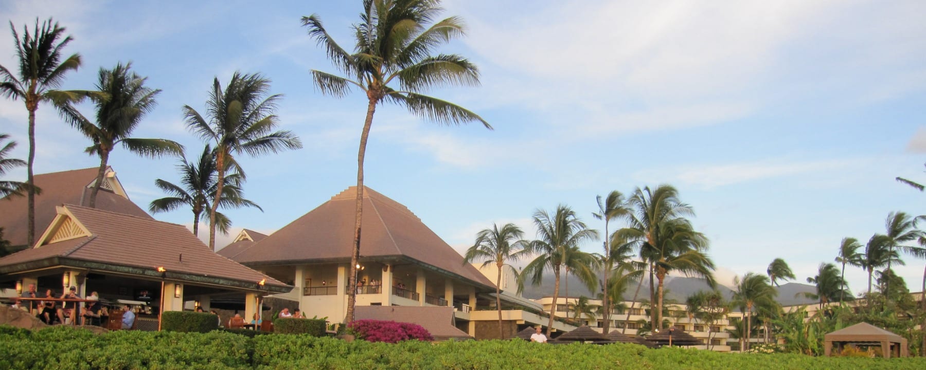 5 Things to Do on Maui with Kids (Plus KidFriendly Restaurants)