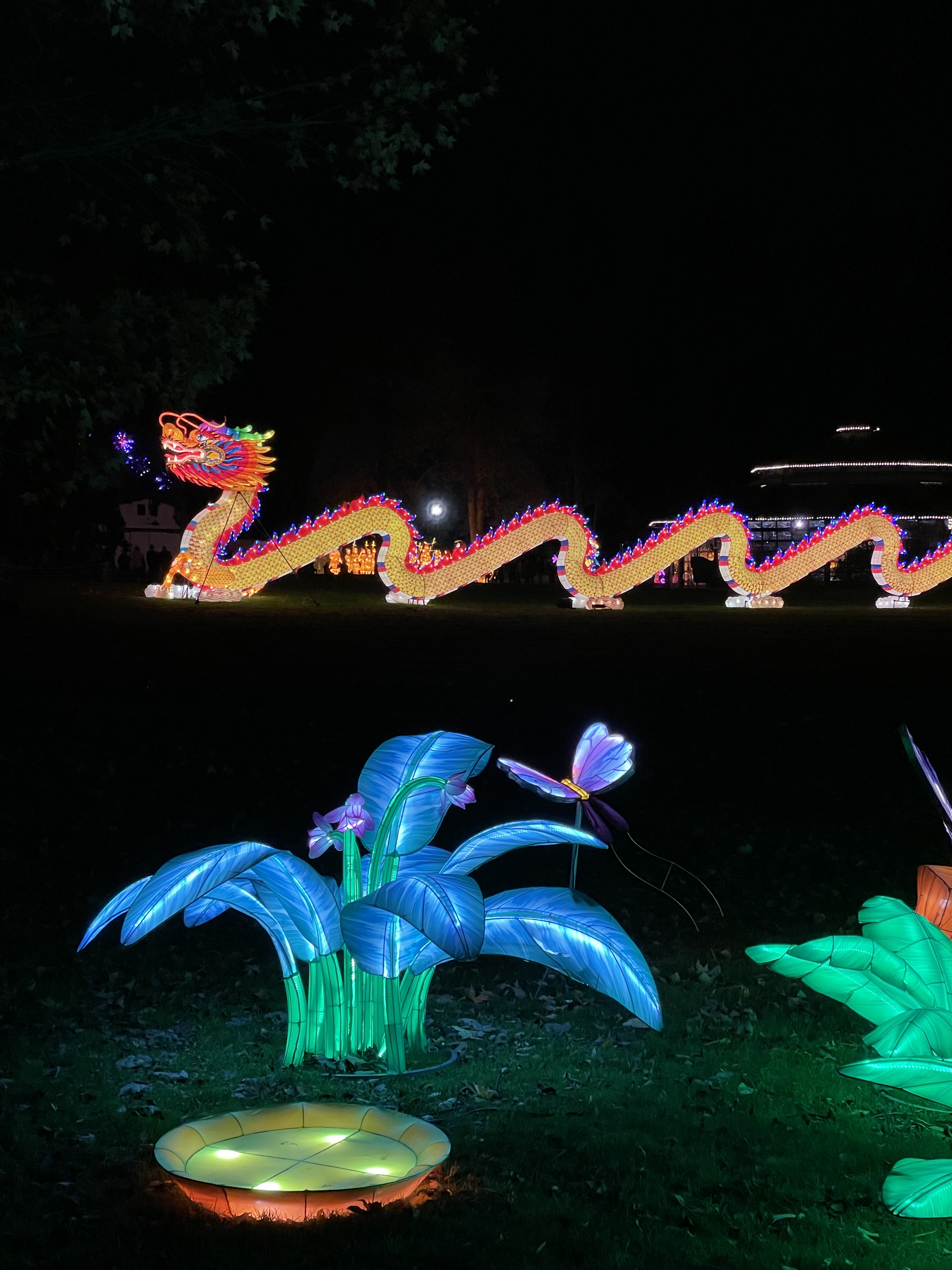 Wild Lanterns 2021 We All Deserve Better