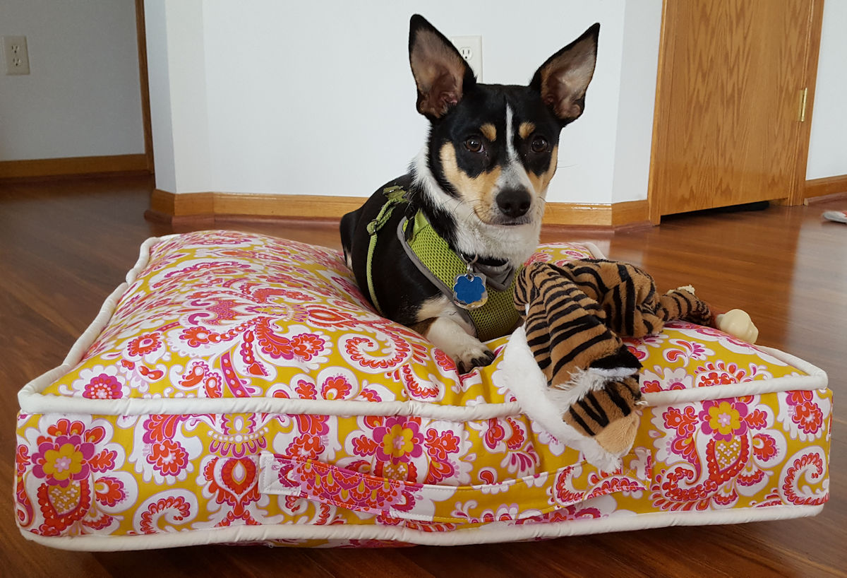 30+ Awesome DIY Sewing Projects For Your Pets