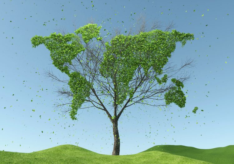 State Street Global Advisors launches new climate transition index fund