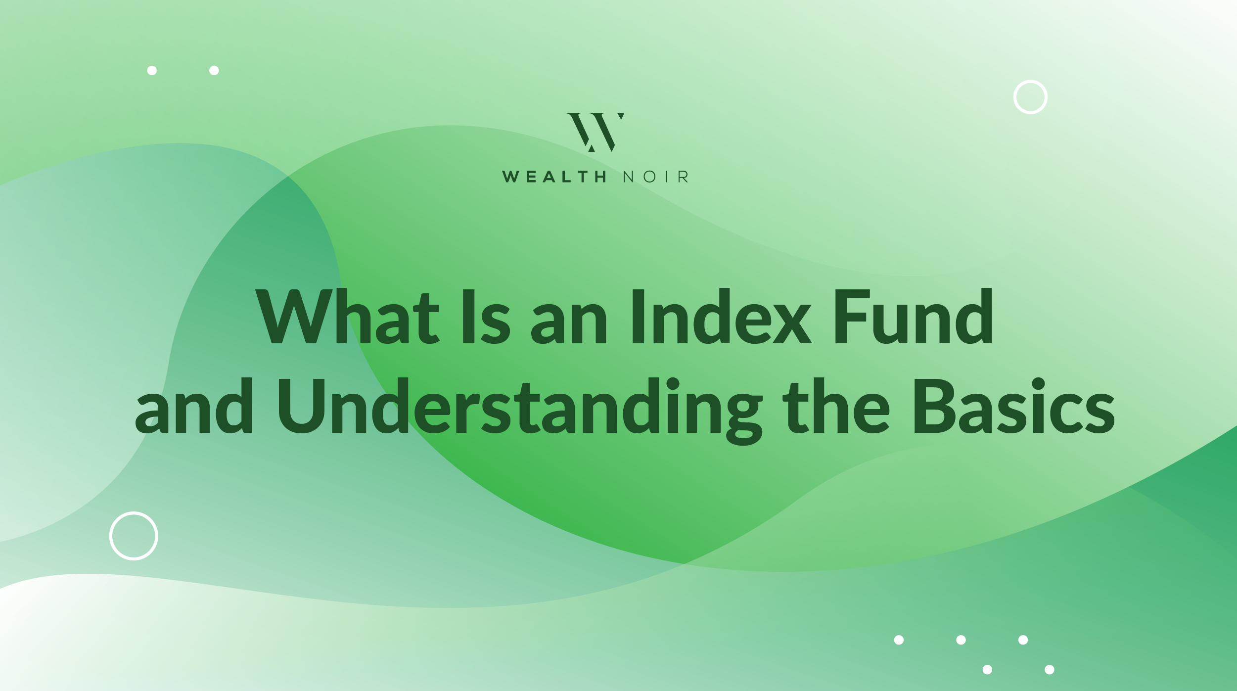 What is an Index Fund and Understanding the Basics Wealth Noir