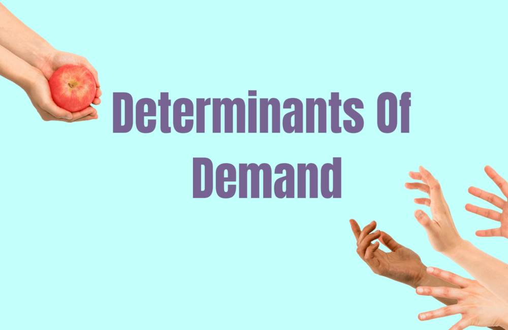 5 Key Determinants Of Demand With Examples