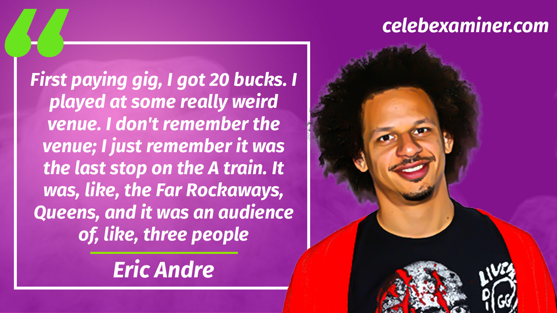 Eric Andre Net Worth Wealth Rector