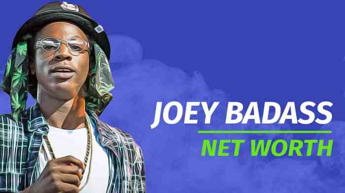 Joey Badass Net Worth - How Rich is He? - Wealth Rector Joey Badass Net Worth - How Rich is He? - Wealth Rector