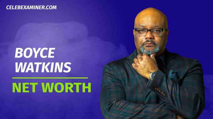 Dr boyce watkins net worth 2020