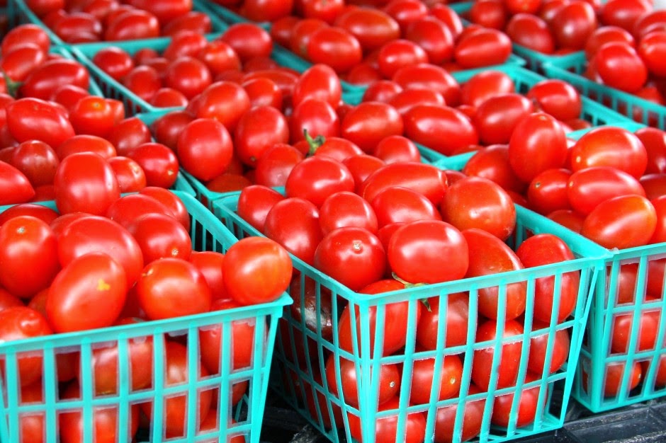 How To Start Tomato Farming In Nigeria (Detail Report) Wealth Result