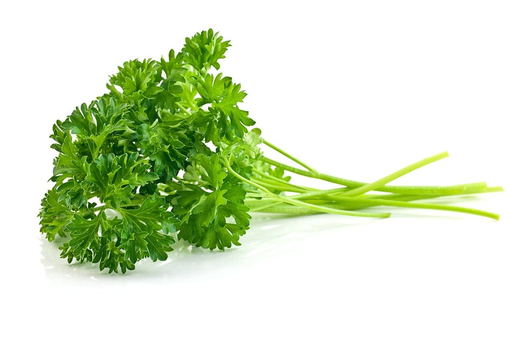Wonderful Ways Parsley Improves your Health Wealth Result