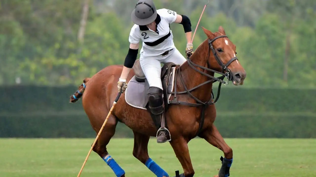 10 Most Expensive Hobbies In The World That Most of Us Will Never Get