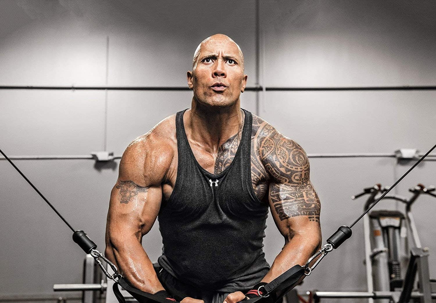 Dwayne Johnson Net Worth [2024 Update] Career & Lifestyle