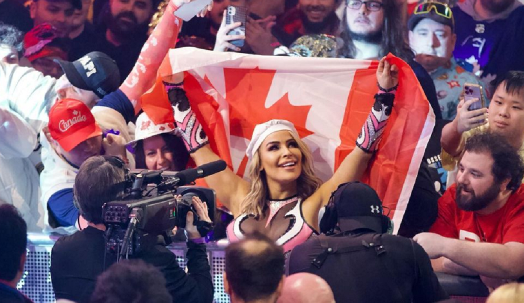 Natalya Neidhart Plastic Surgery Details, Before After Pics