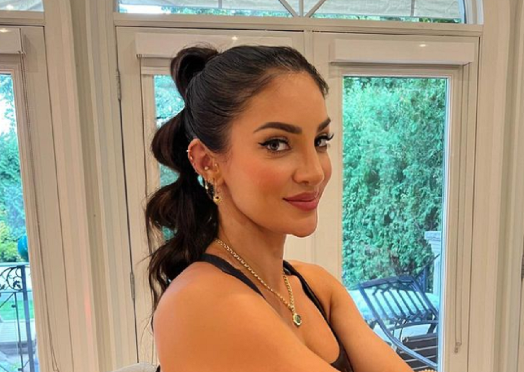 Drake Wife Sophie Brussaux Trainer And Affair Rumors