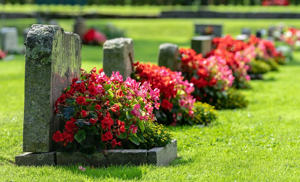 Alberta Scott Sware Obituary And Death Cause