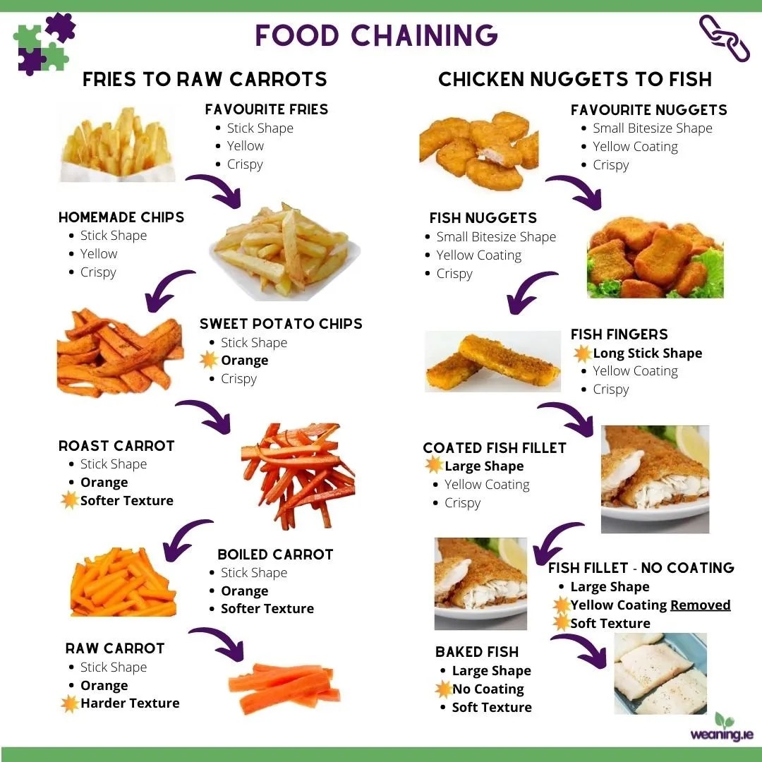 Food Chaining... What is it & Examples! Weaning.ie