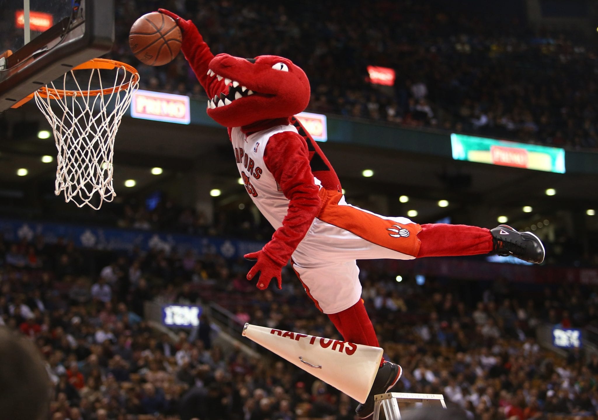 Great Mascots in the NBA — We Are Basket