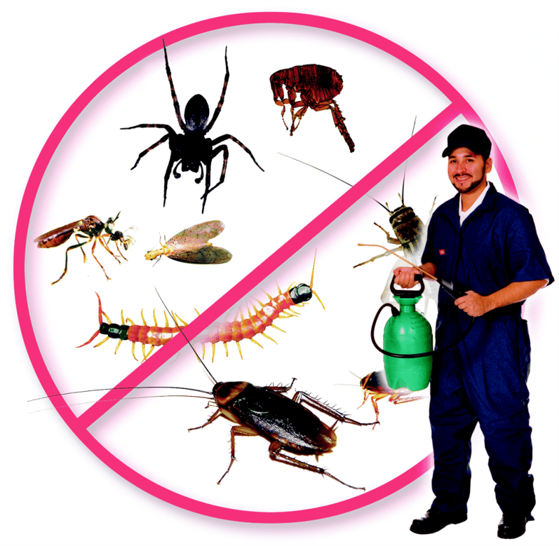 CONVENTIONAL COMPONENTS OF PEST CONTROL SOLUTION We Are Contributors