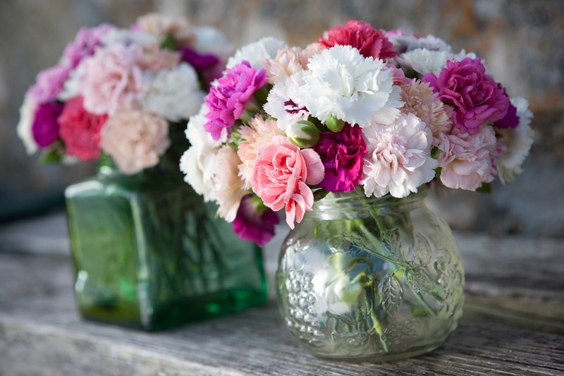 Scilly Flowers We Are Cornwall