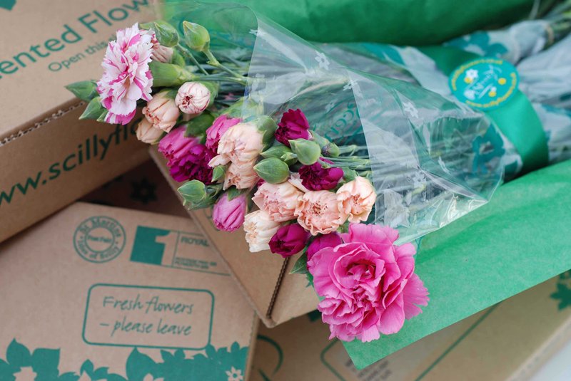 Scilly Flowers We Are Cornwall