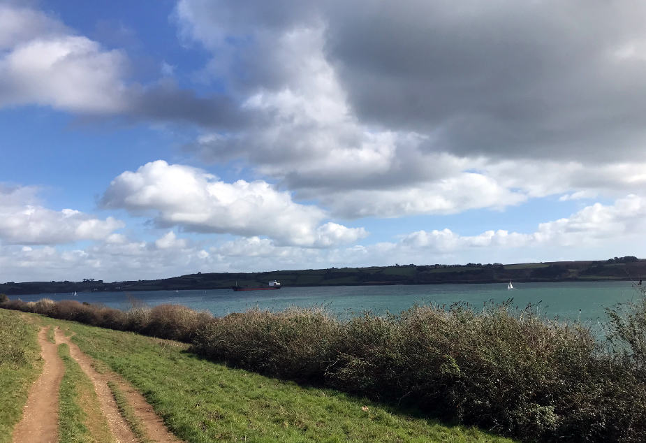 5 of our favourite dog walks near Falmouth