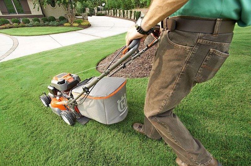 How to choose a small lawn mower We Are Coupons