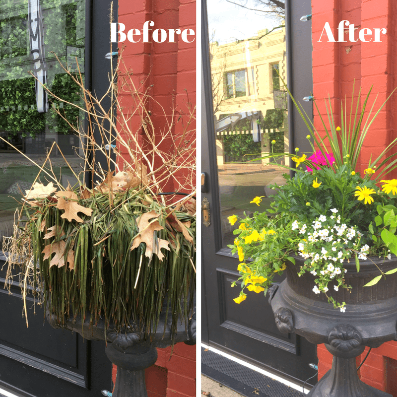 Ready Set Grow Texas Doneforyou Potted Plants We Are Dallas Fort Worth