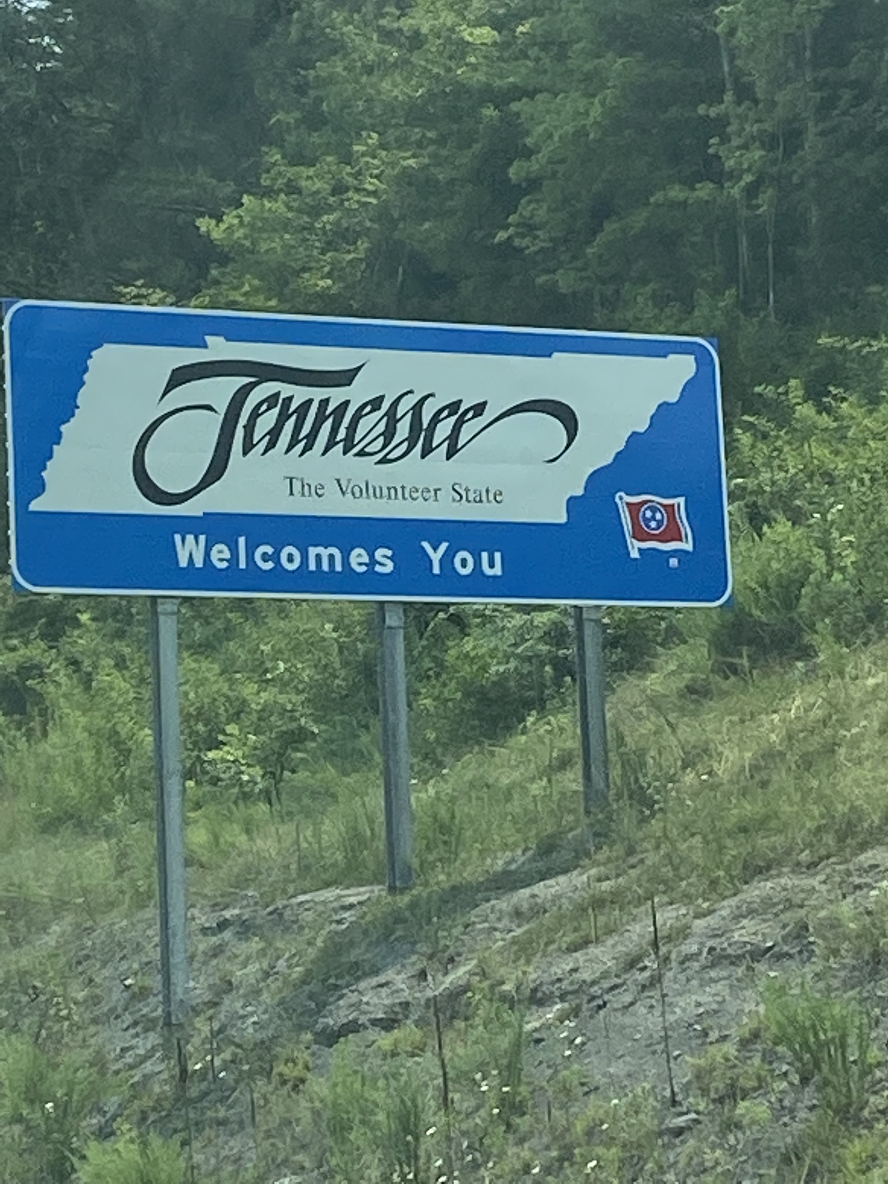 Day 20 Louisville, KY Pigeon TN Wearehere