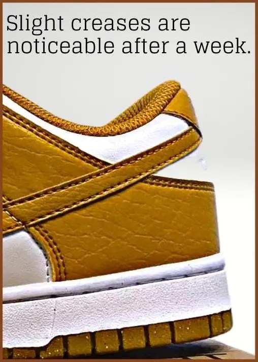 Why are Nike Dunks so Popular? (Read This Fast)