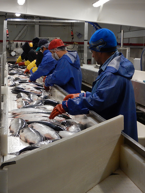 Home Silver Bay Jobs