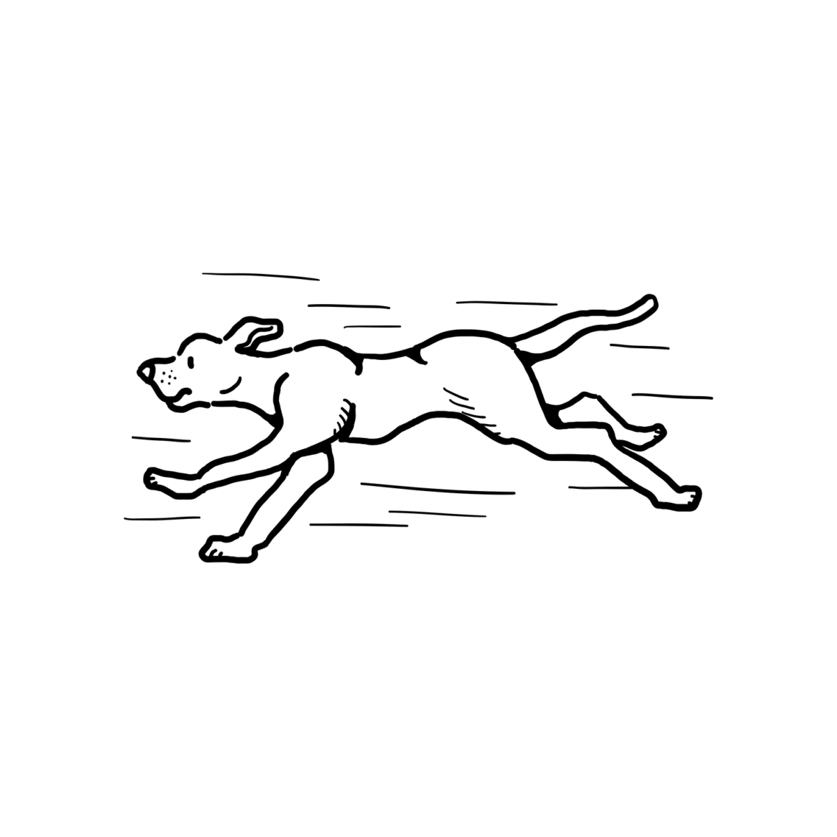 Premium 'Running Dog' Illustration Dogs