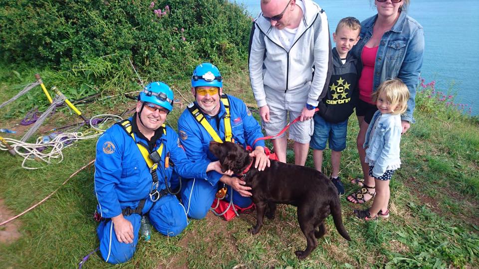 Coastguard rescue dog following cliff fall We Are South Devon