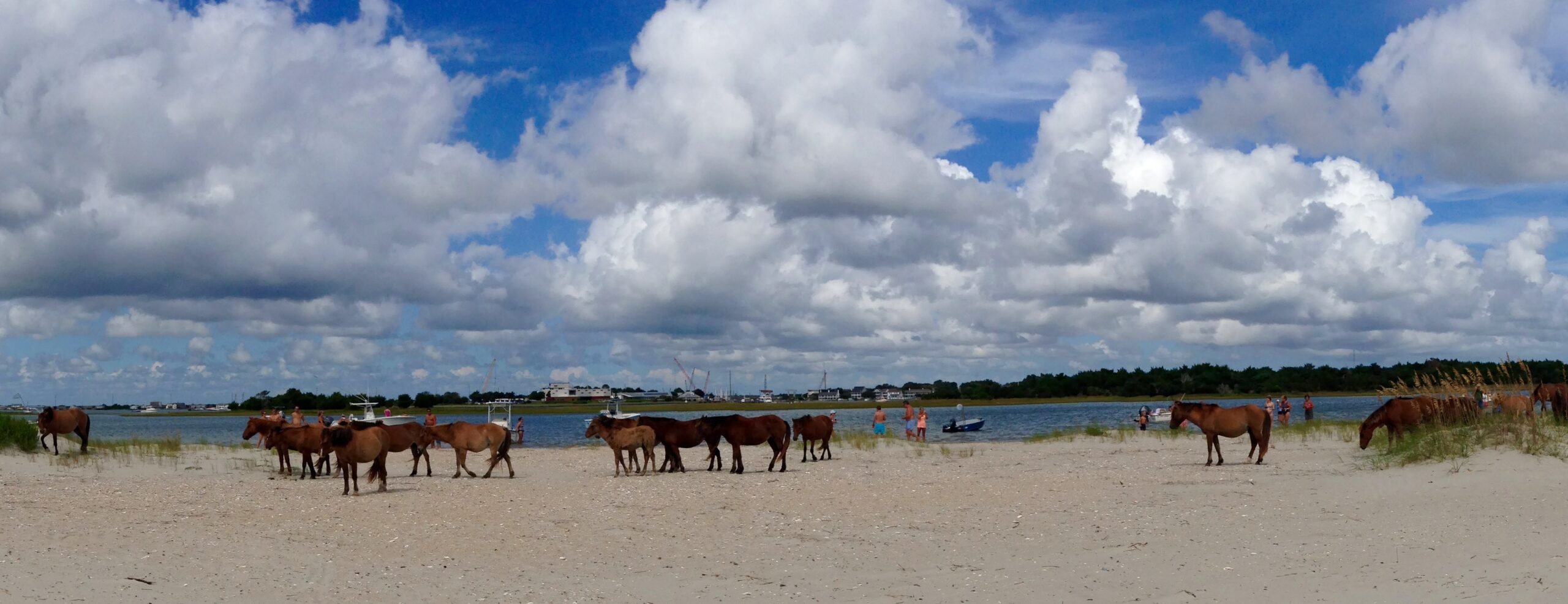 Beaufort CAMA Land Use Plan and UDO STEWART