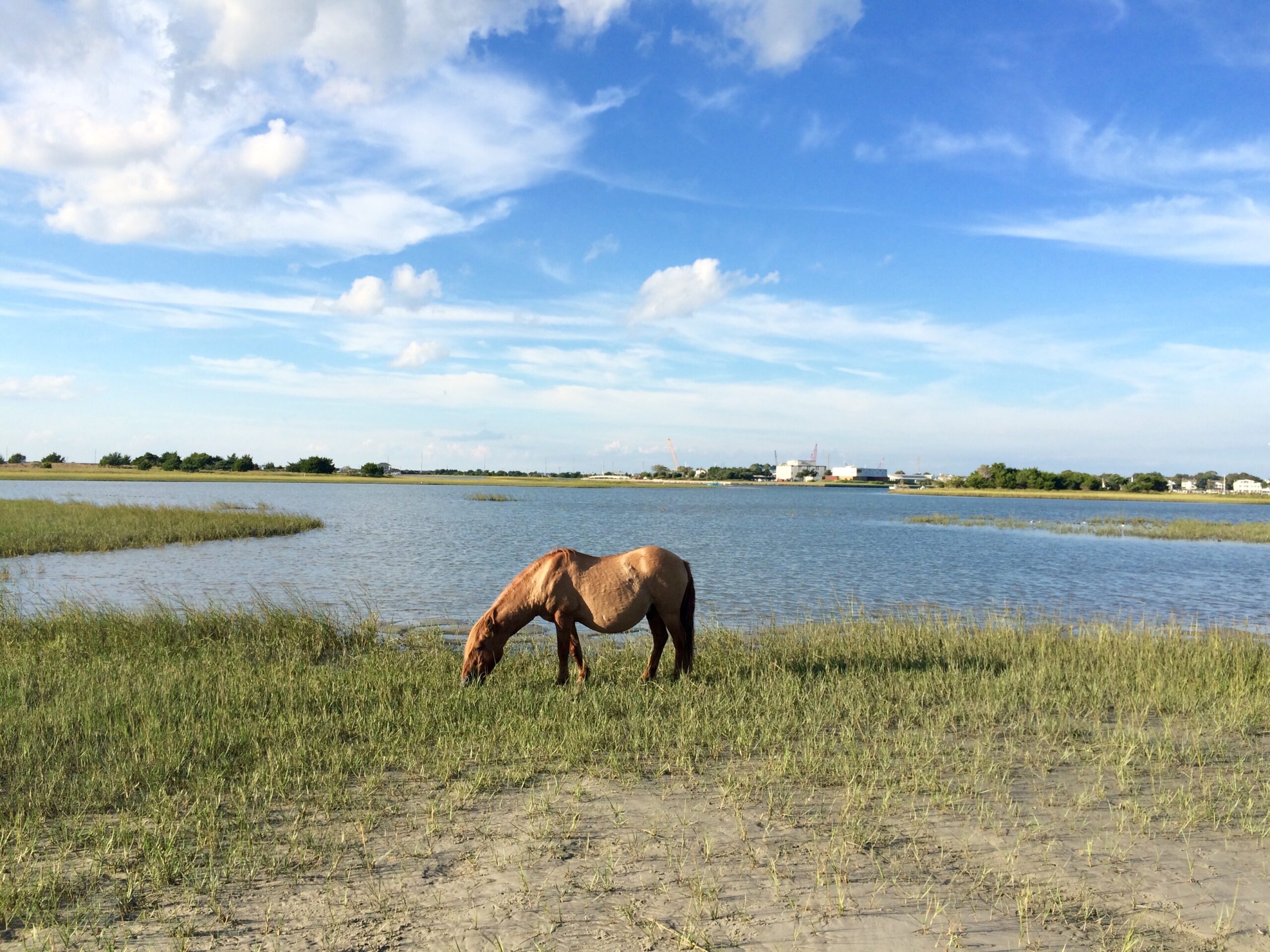 Beaufort CAMA Land Use Plan and UDO STEWART